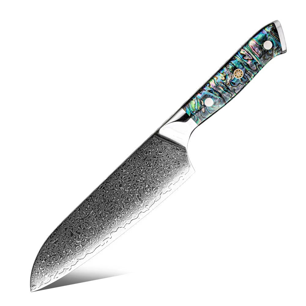 Mizukiri Damascus Steel Knife Collection - Premium 11-Piece Blue Handle Set